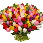 101 colorful tulips! - image-0